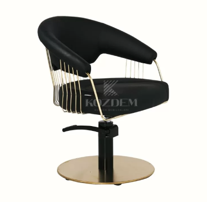 Styling Chair (KD 53)